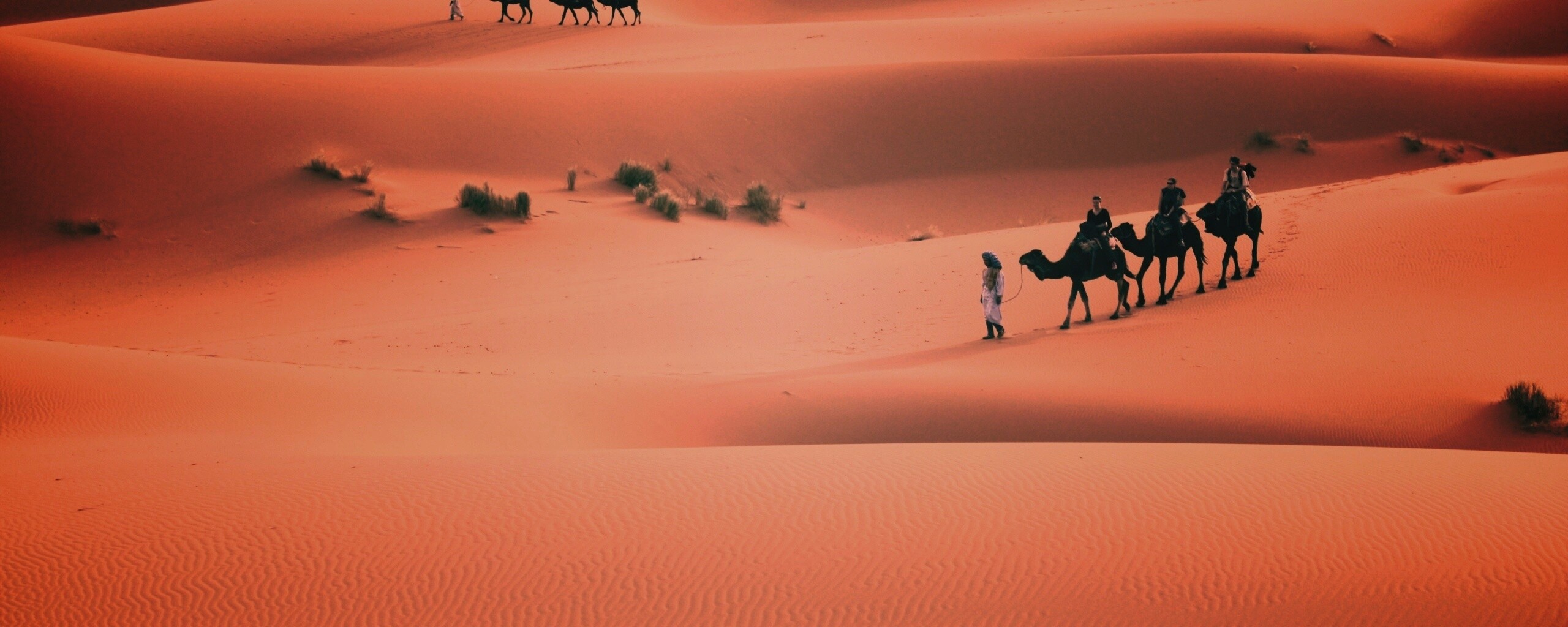 Караваны пустыни обои