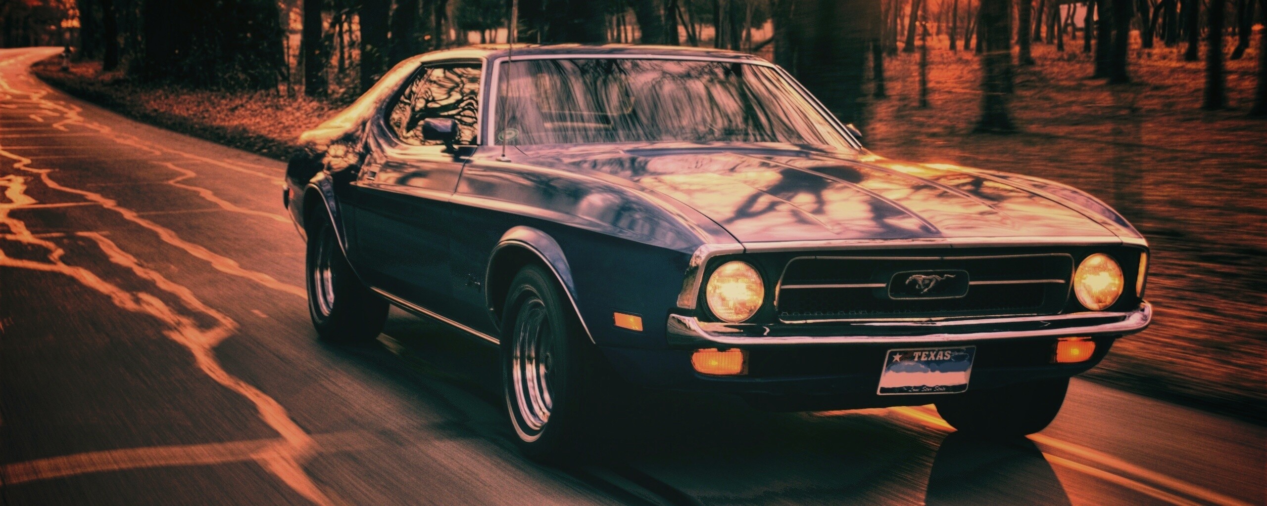 Мустанг обои