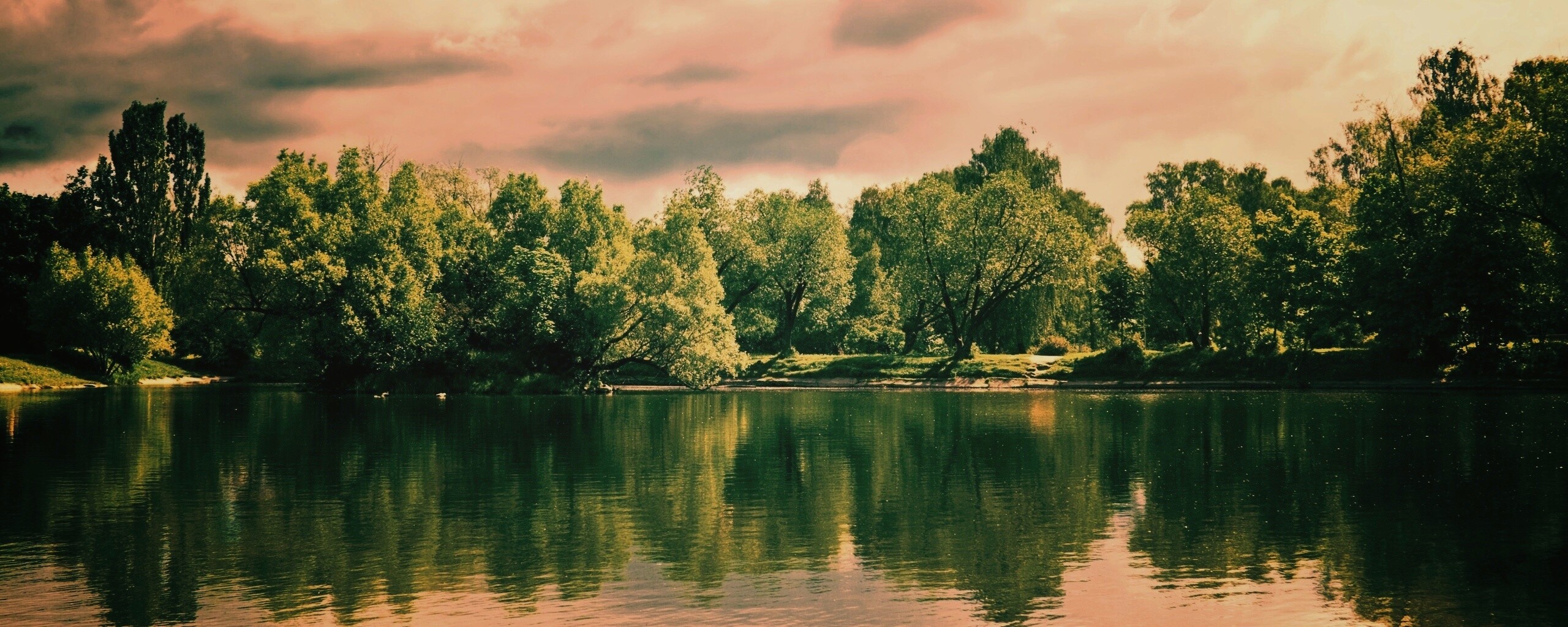 Деревья на берегу озера обои