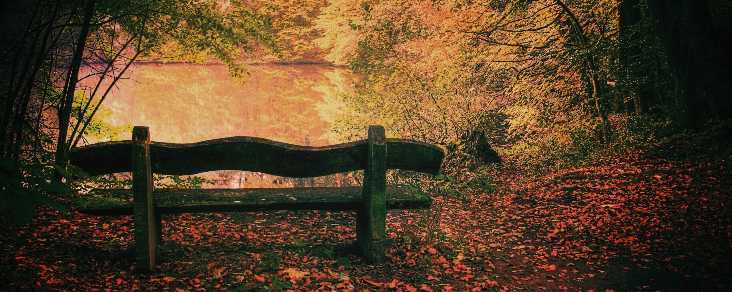 Скамейка в лесу обои