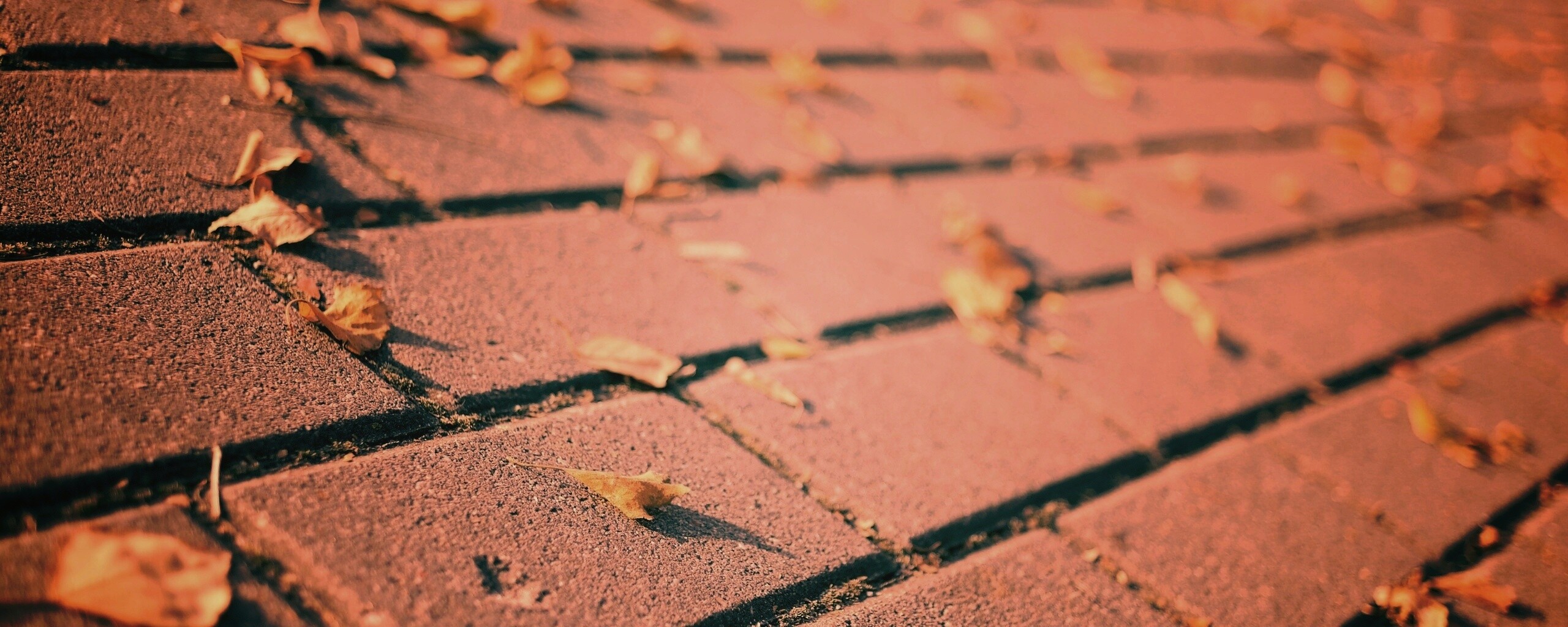 Тротуар обои