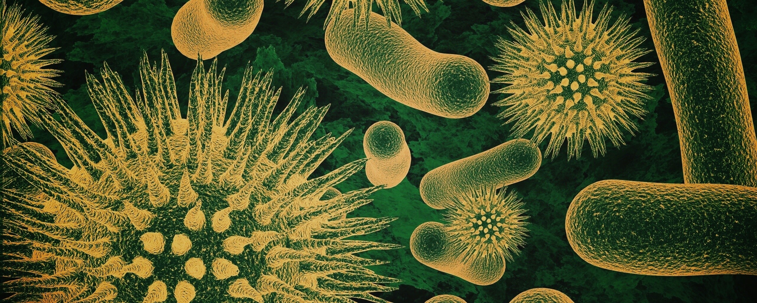 Бактерии обои