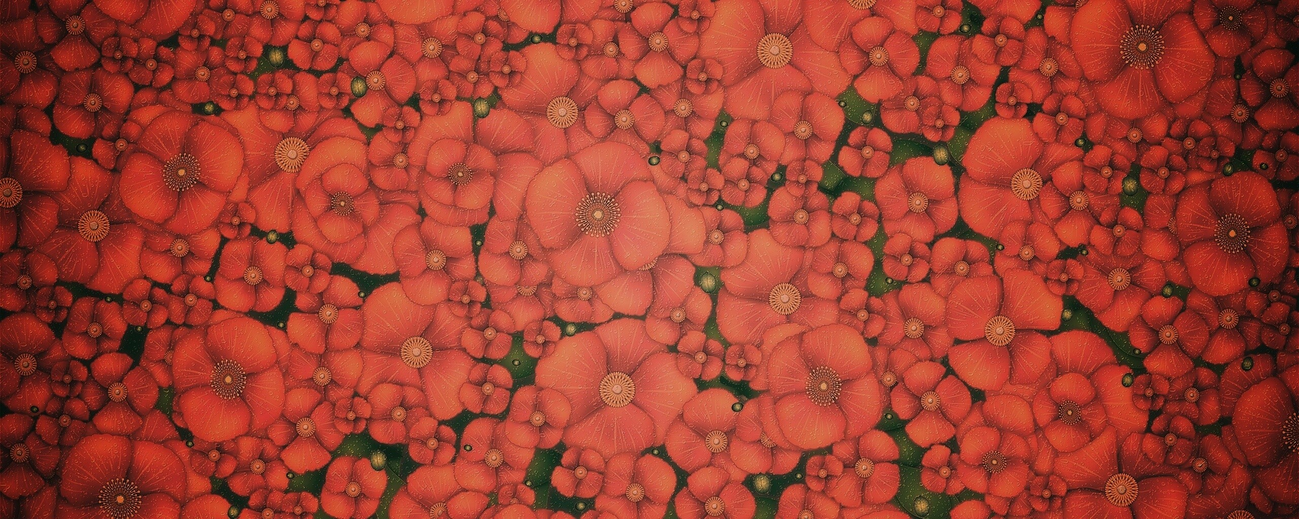 Рисунко с красными цветами обои