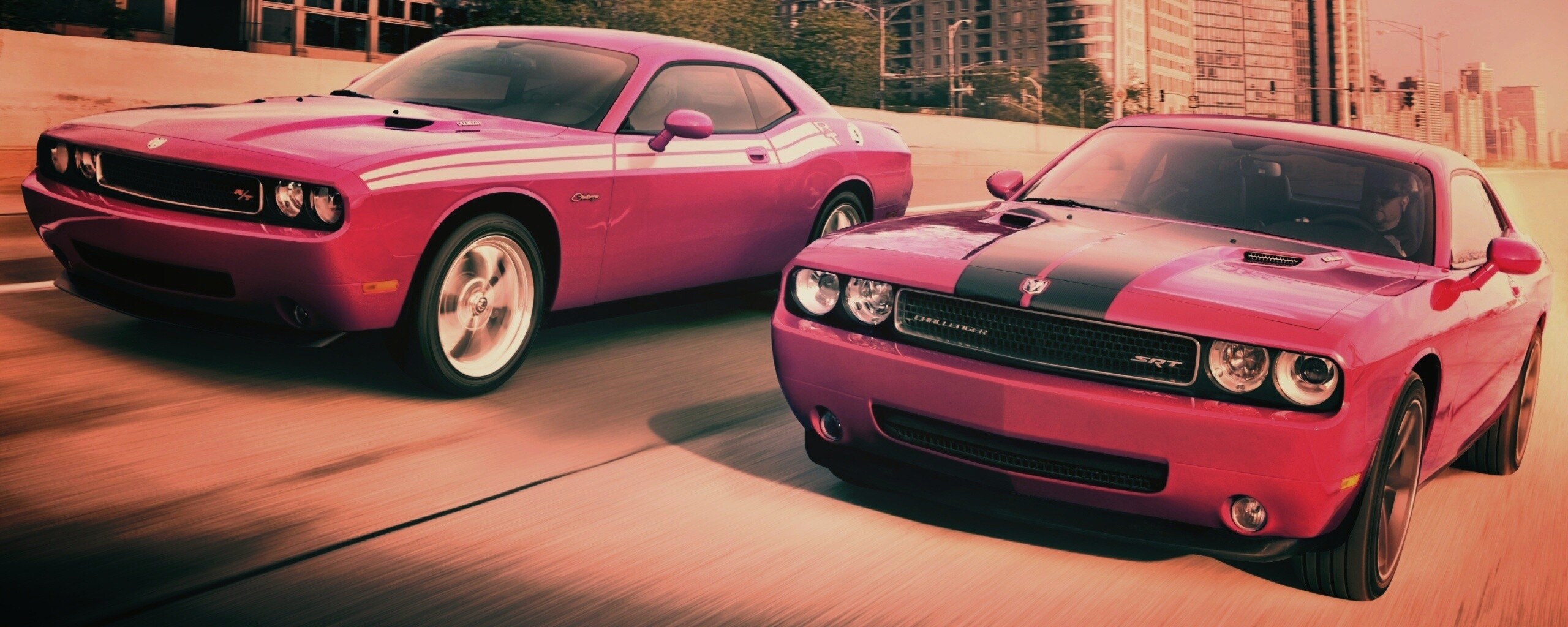 Два розовых мускулкара обои