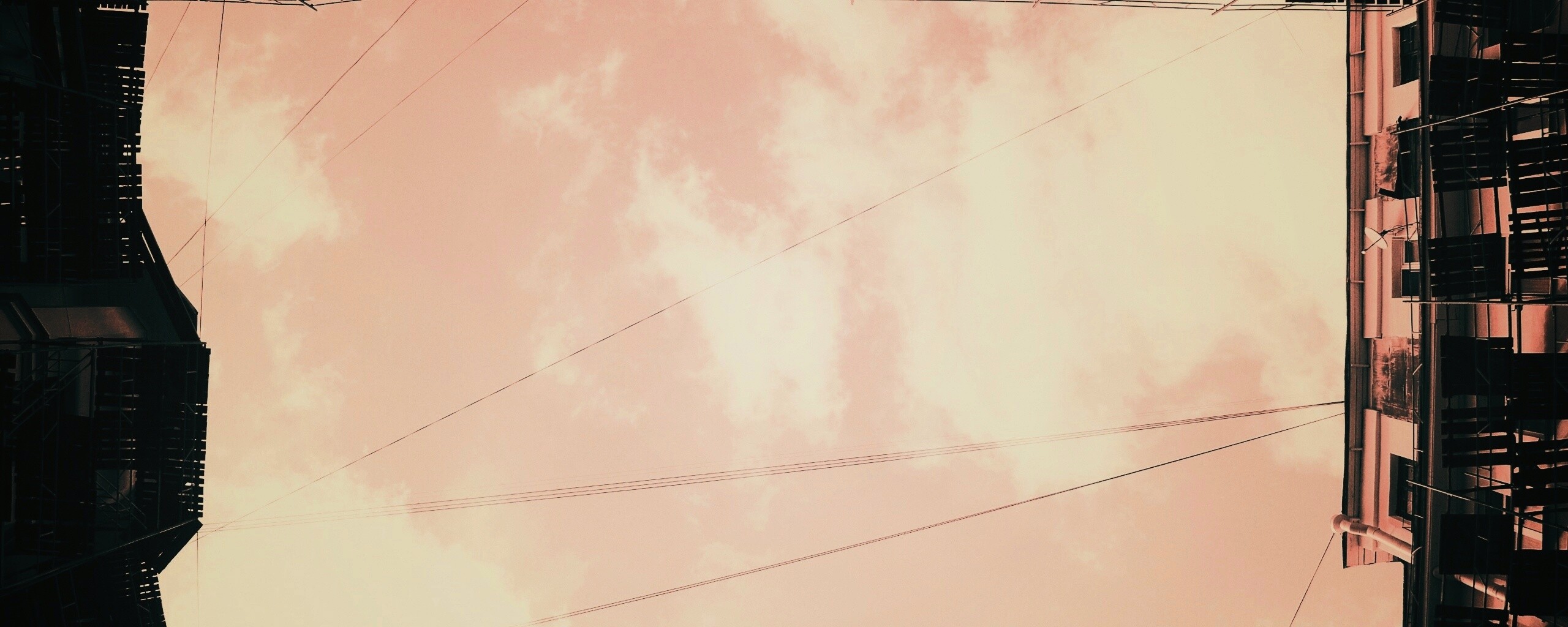 Человеческий муравейник обои