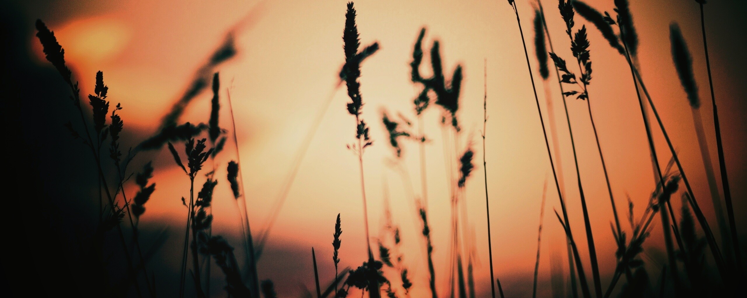 Дыхание природы обои