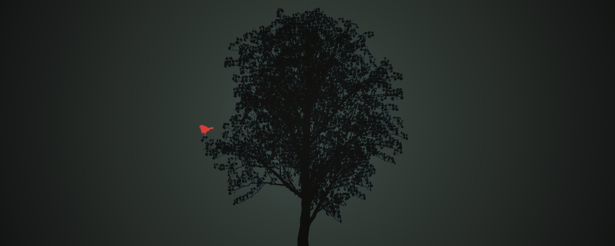 Дерево и птица обои