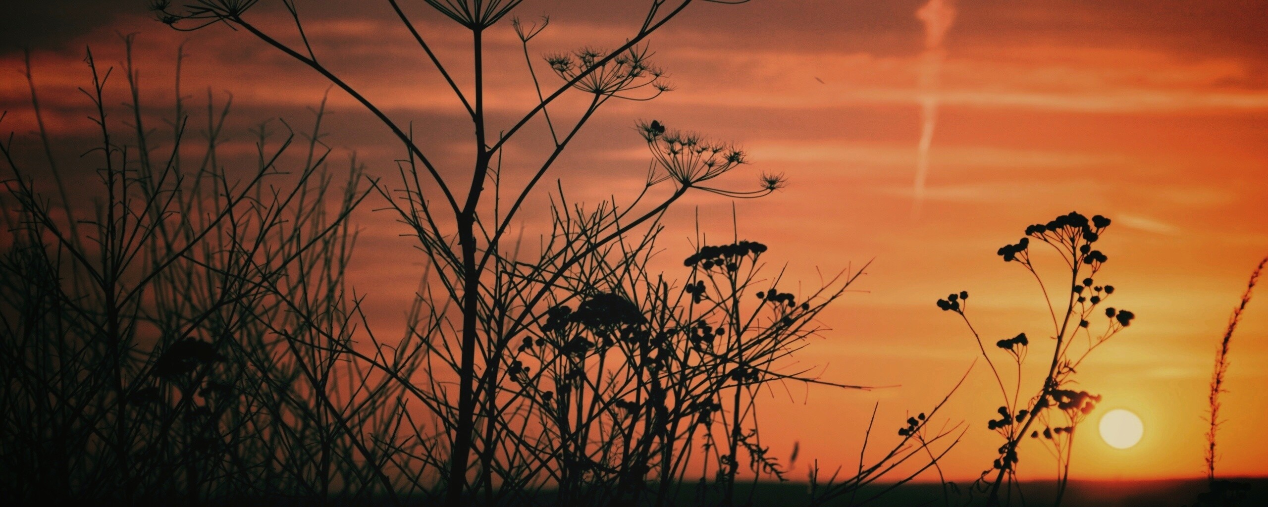 Степной закат обои