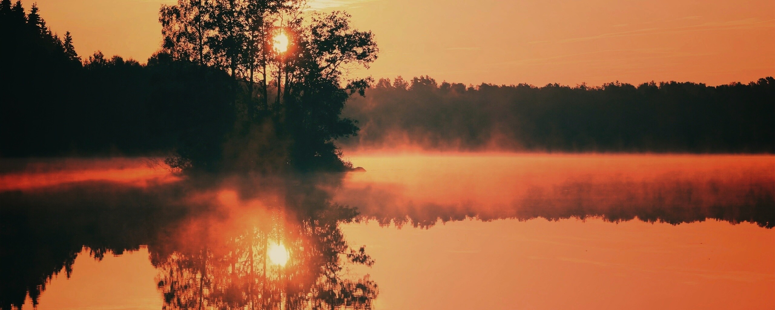 Туманное утро обои