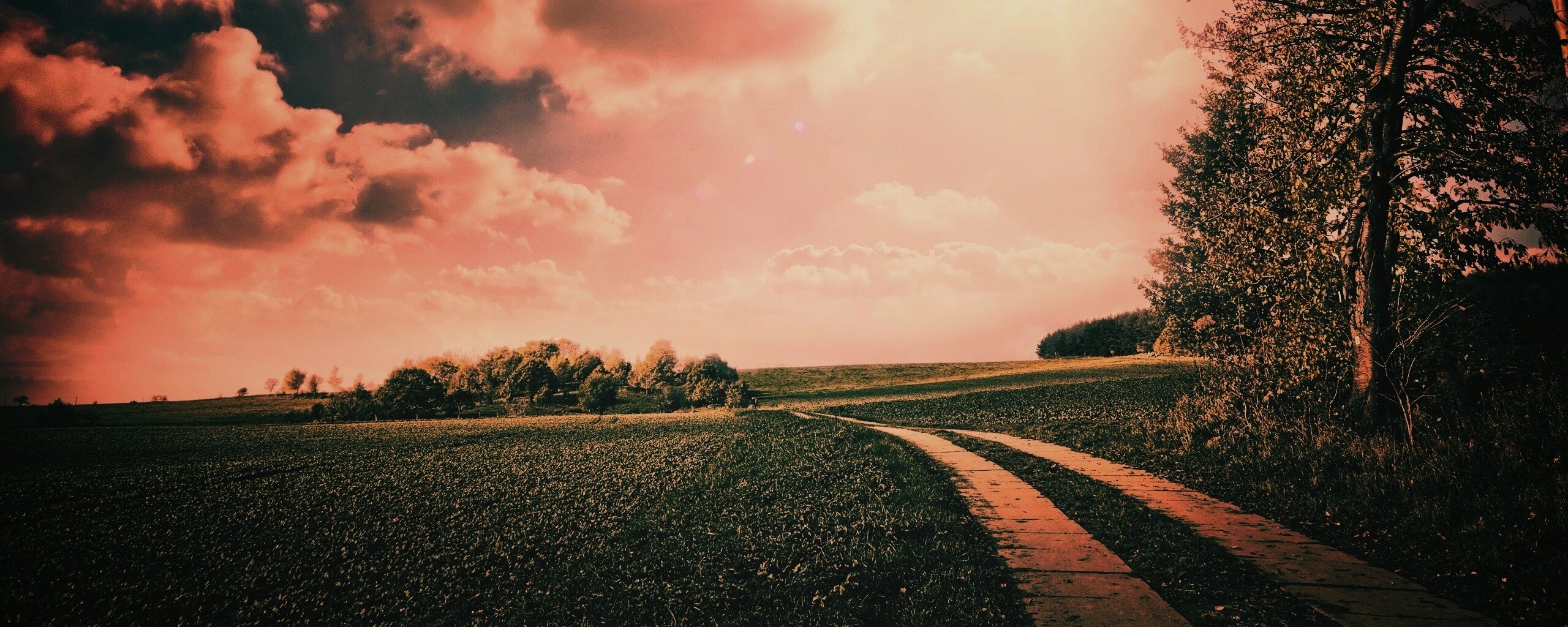 Солнечные холмы обои