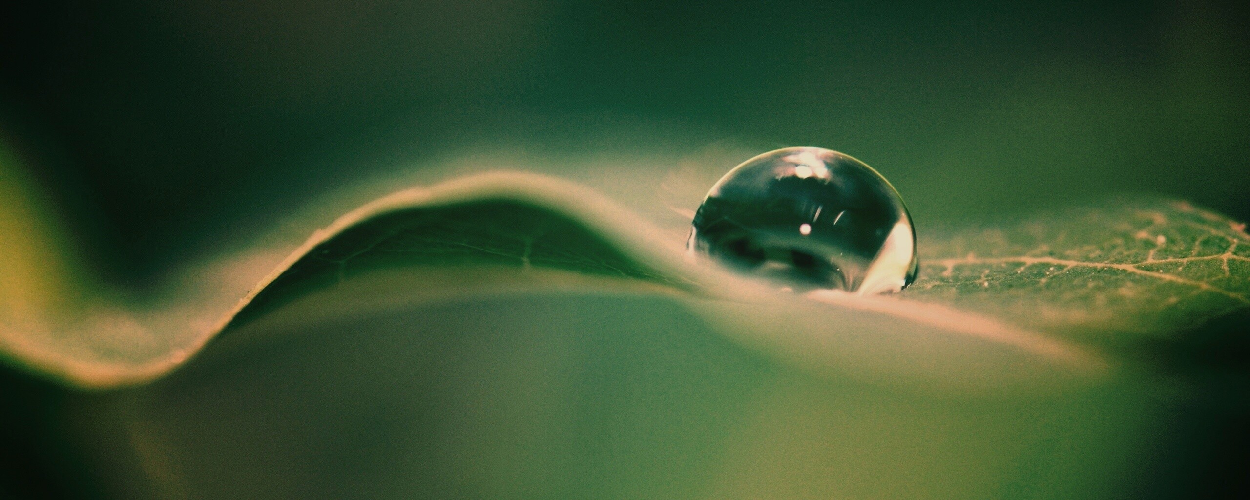 Фотография капли воды в макро обои