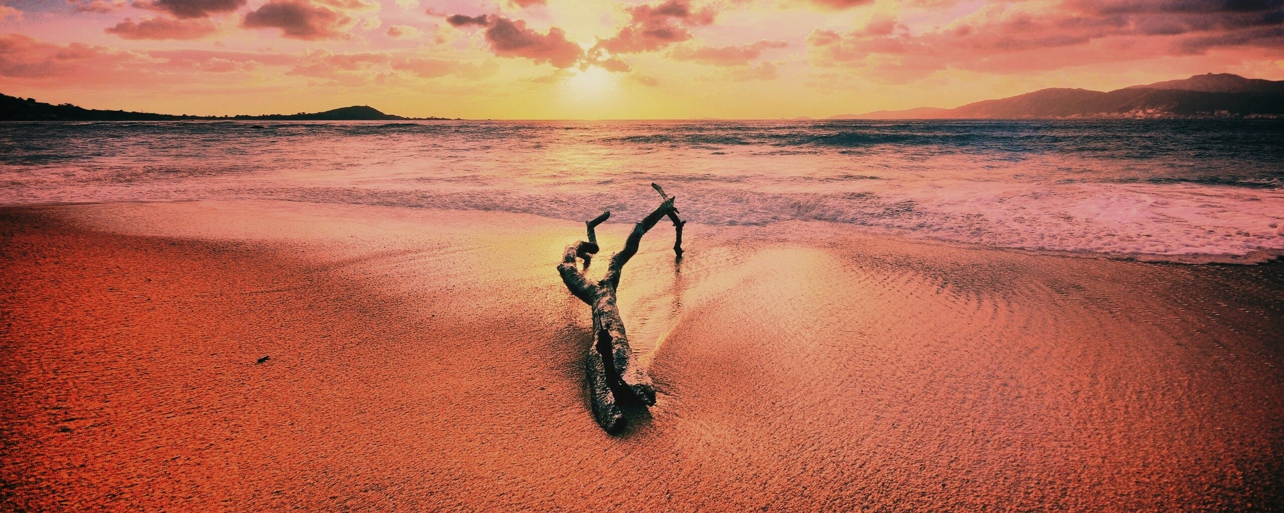 Коряга на пляже обои