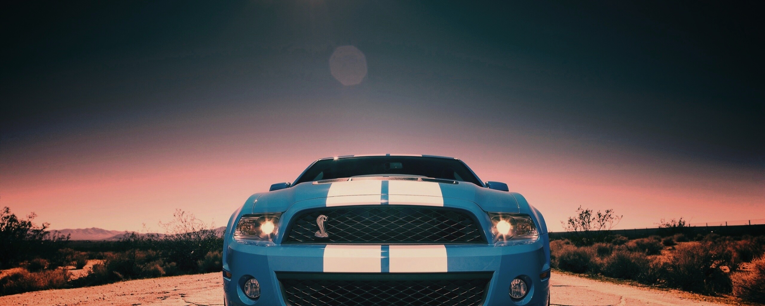 Форд Шелби обои