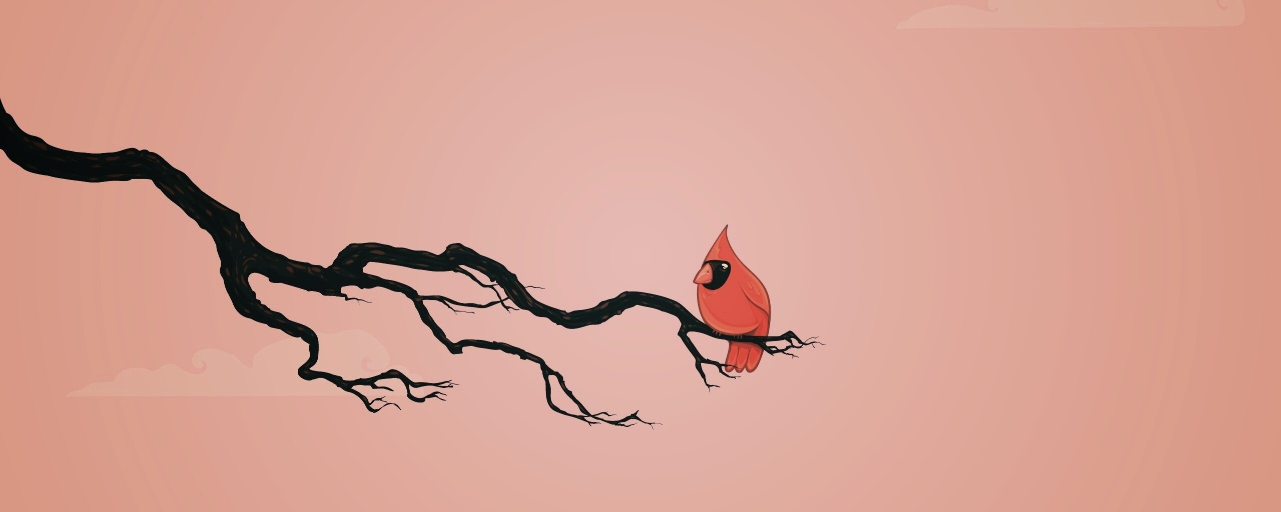 Красная птица на ветке обои