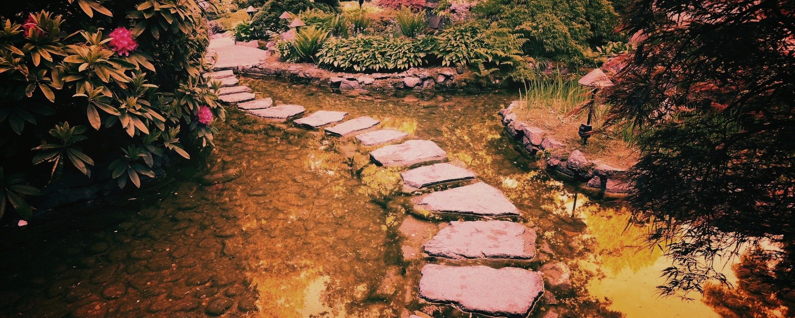 Дорожка через пруд обои