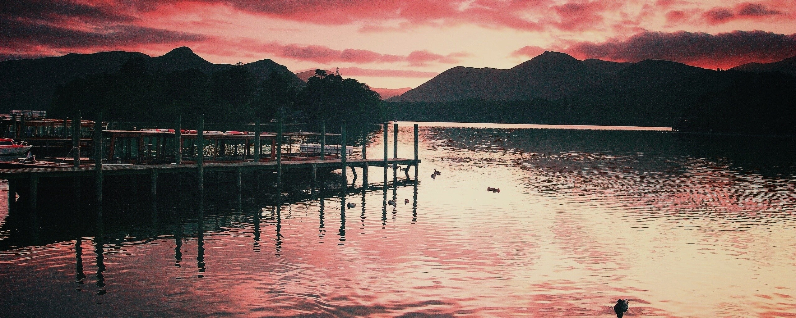 Причал на озере и утки обои