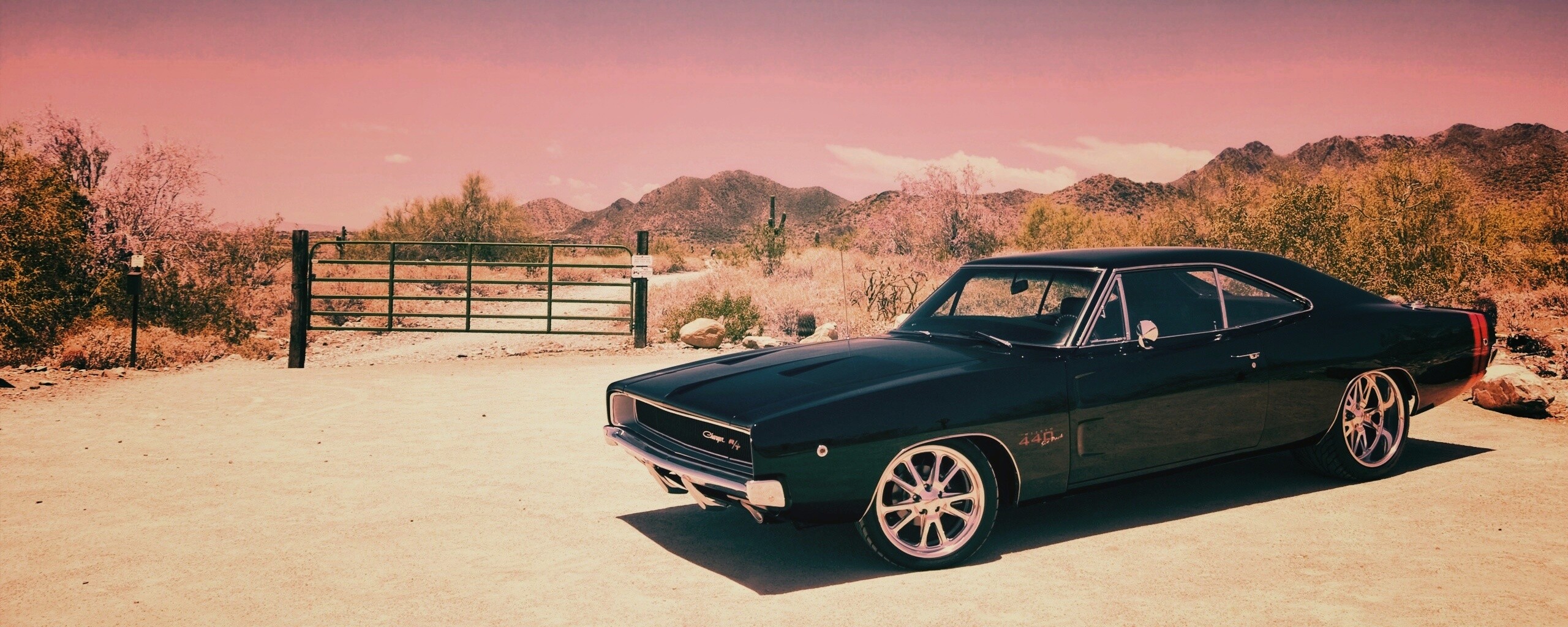 Мускулкар под палящим солнцем обои