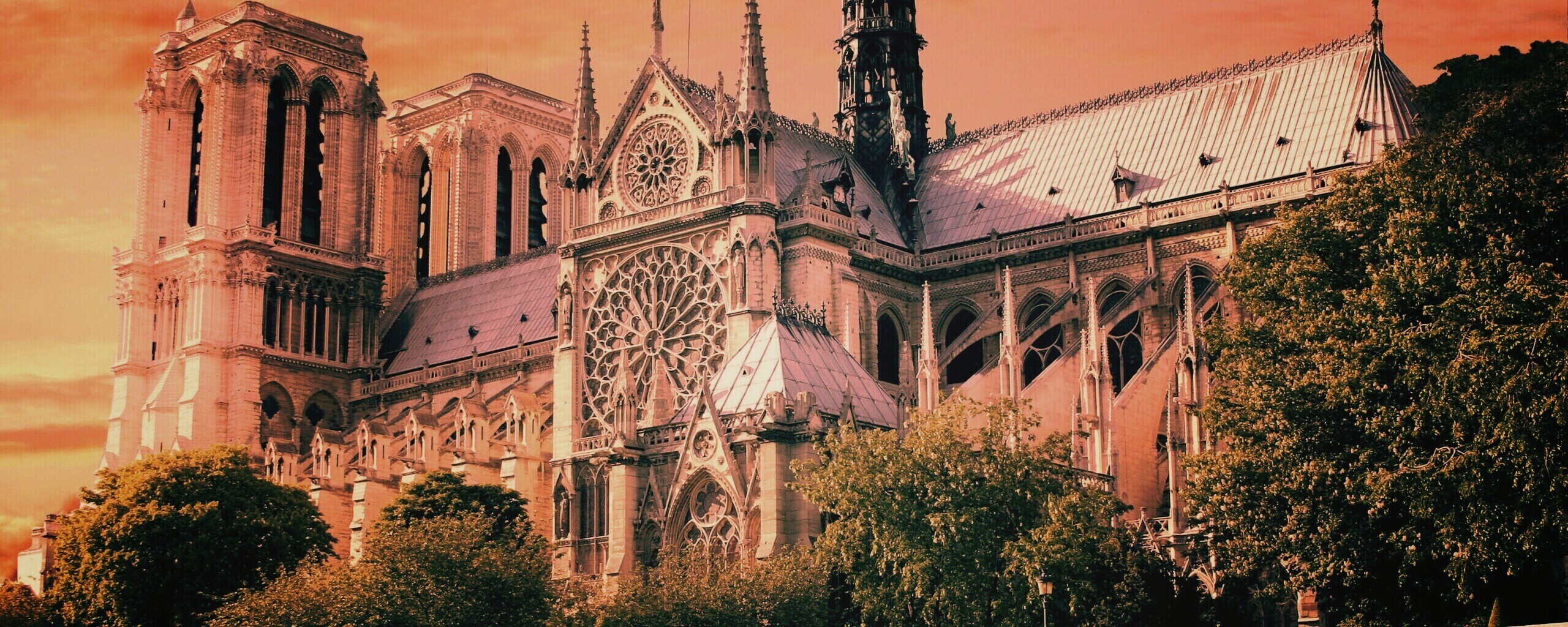 Собор парижской Богоматери обои