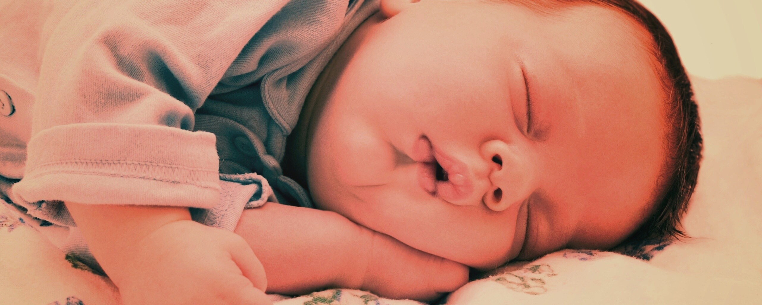 Спящая прелесть обои