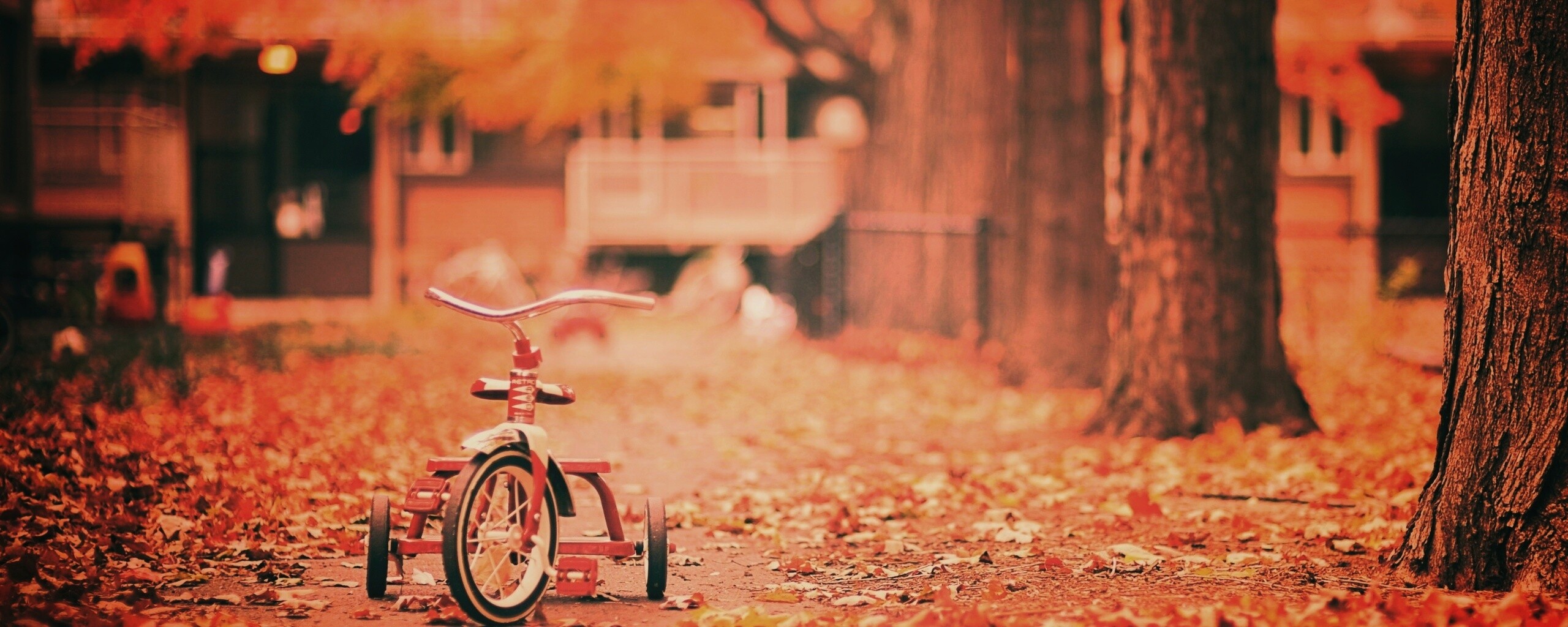 Трёхколёсный друг на осенней дорожке обои