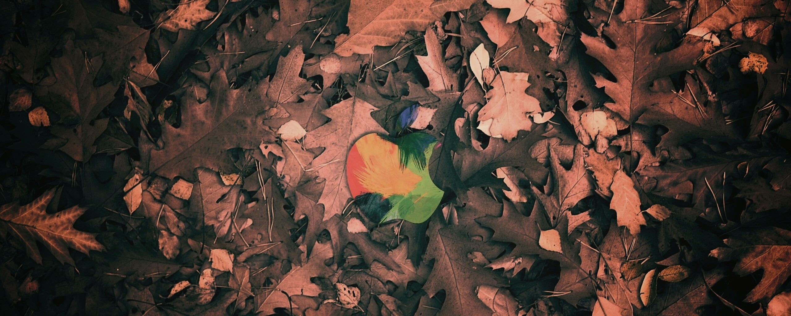 Яблоко в листьях обои