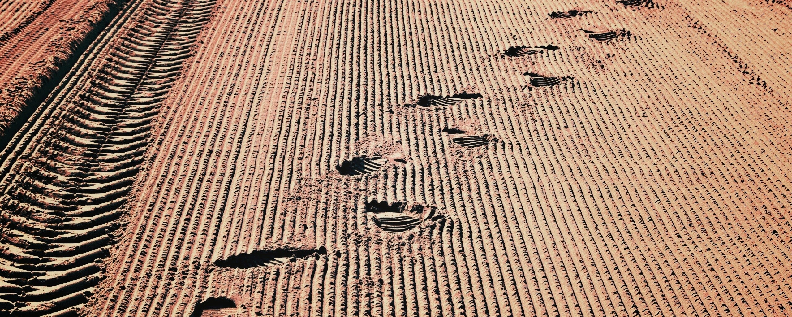 Следы на песке обои