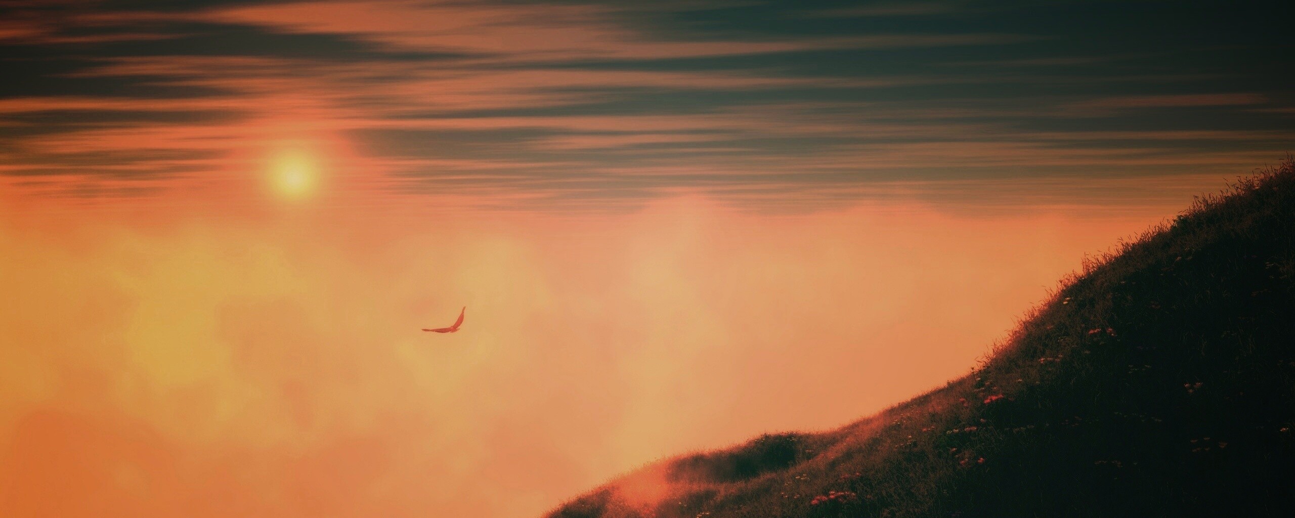 Птица парит над туманом обои