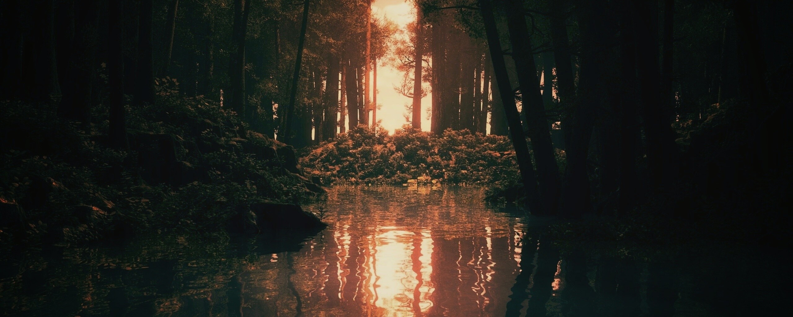 Болото в лесу обои