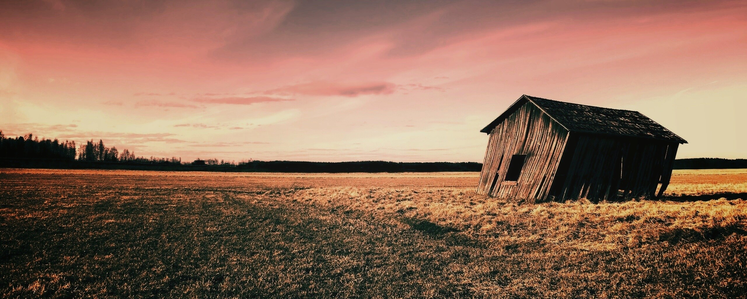 Покосившийся сарай обои