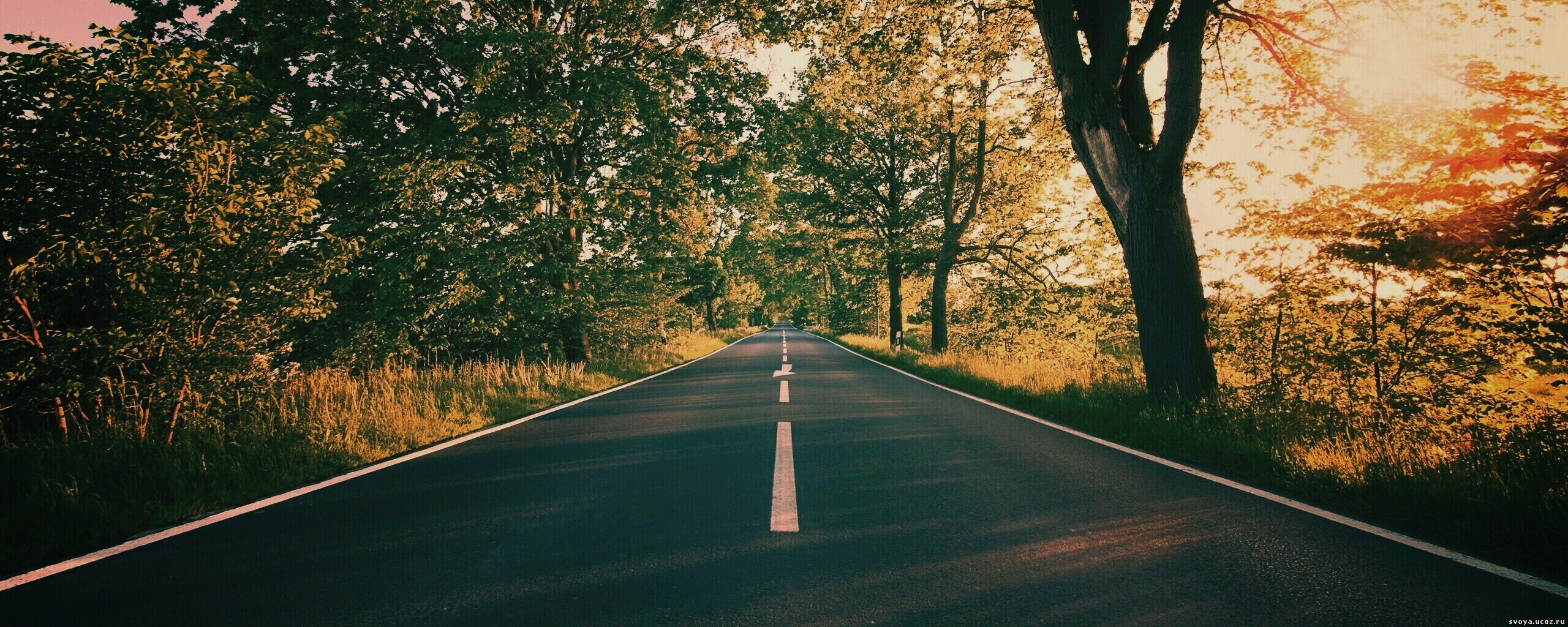 Прямая дорога обои