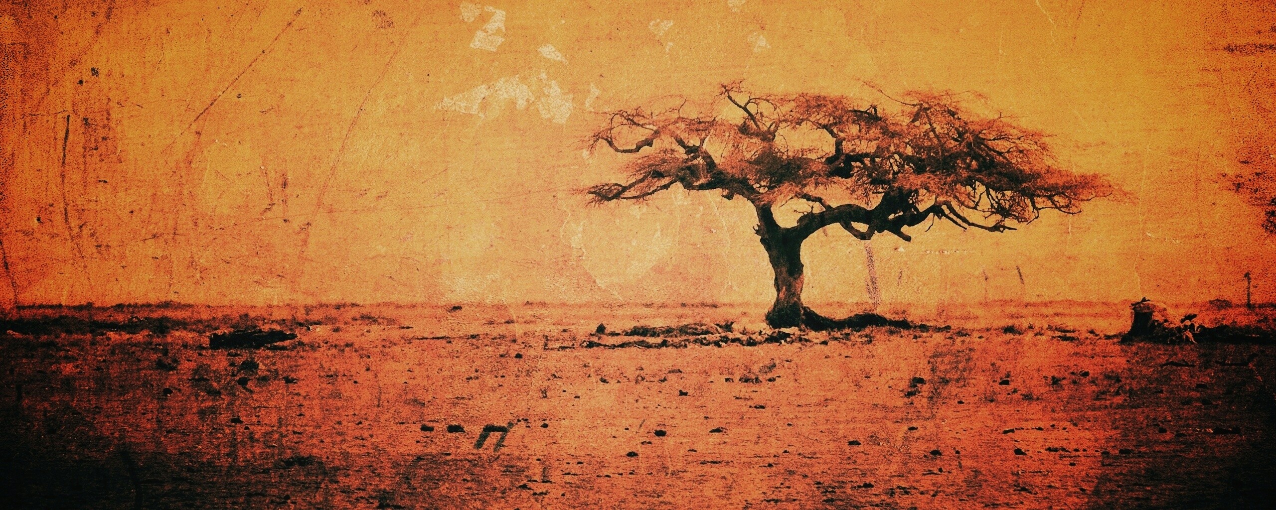 Гранжевое дерево в саванне обои