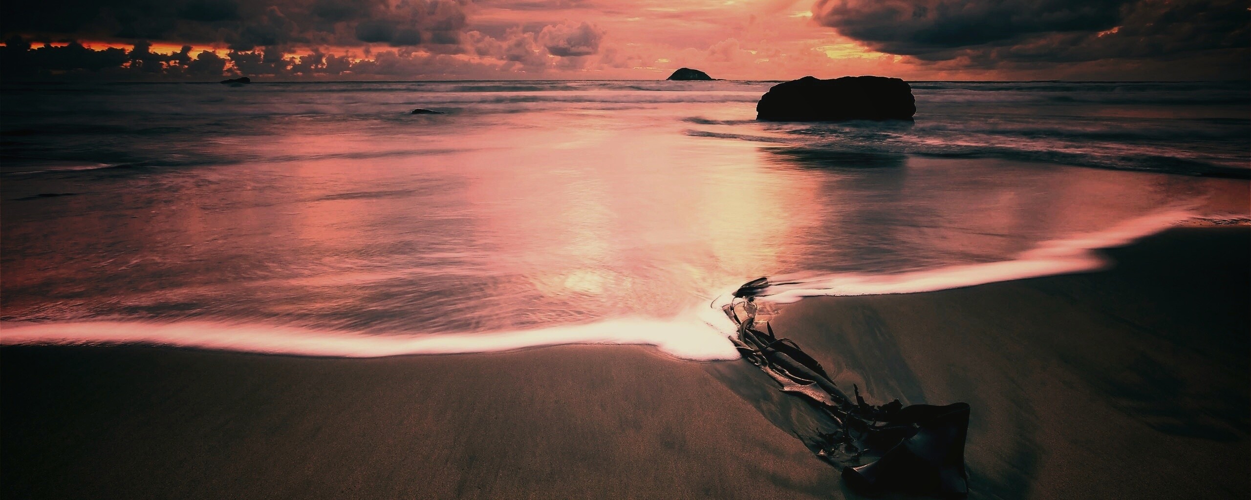 Коряга на пляже обои