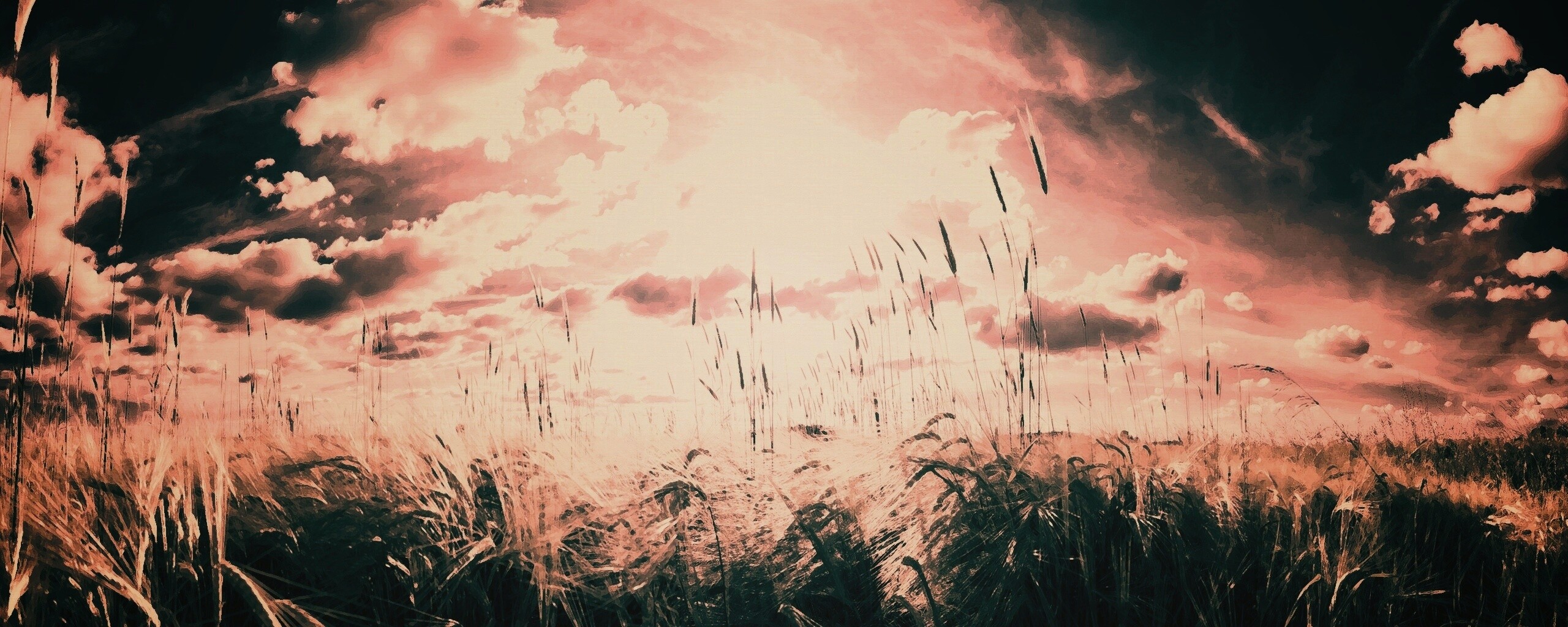 Сюрреалистичная трава обои