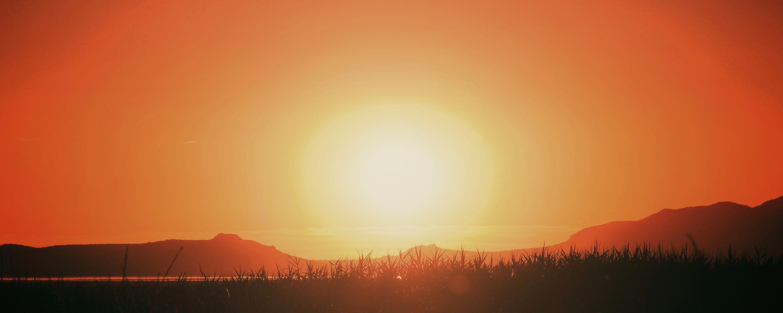 Сельский закат обои