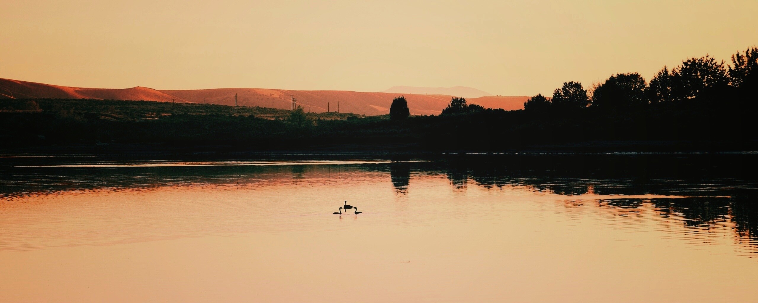 Утиное озеро обои