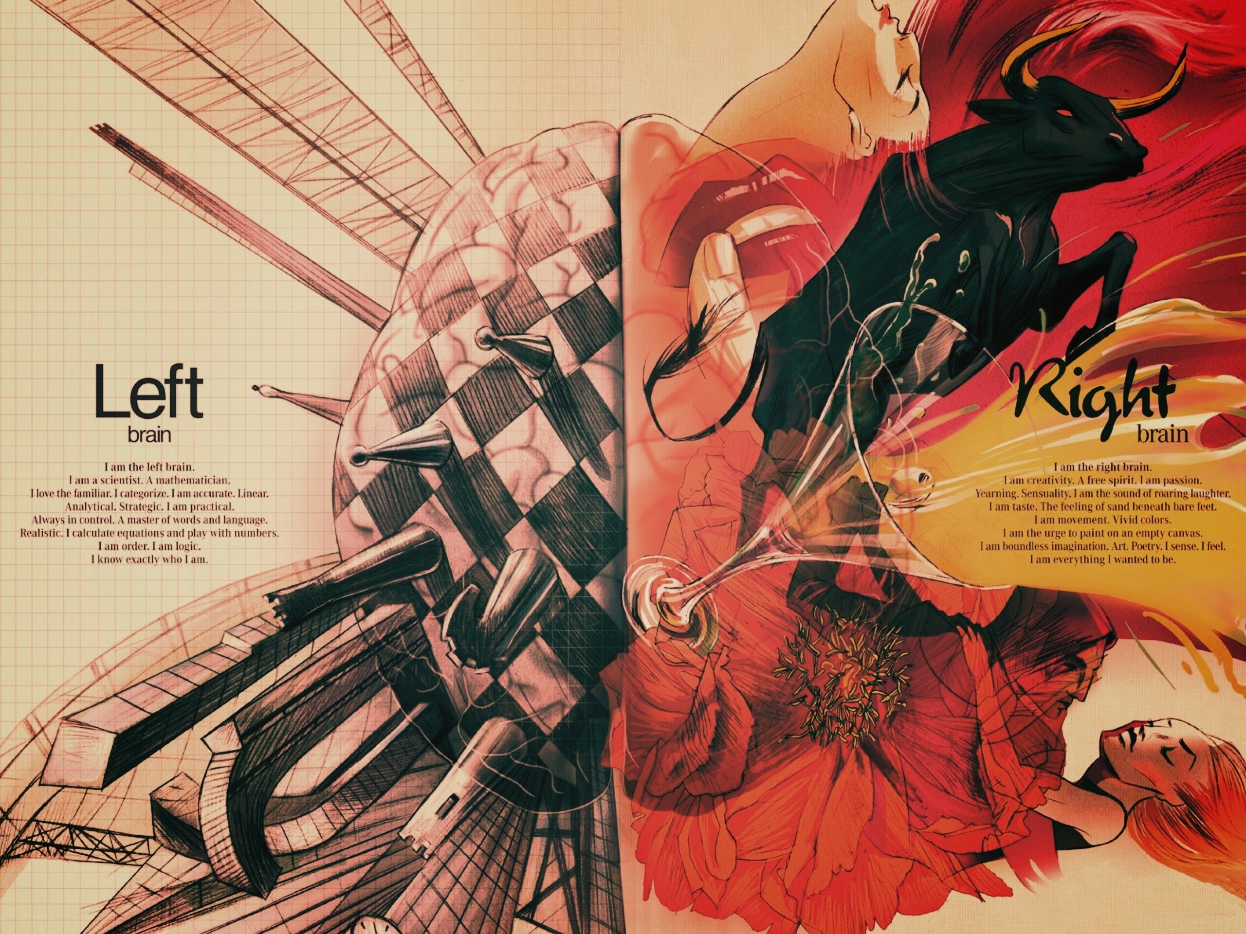 Левая и правая часть мозга обои