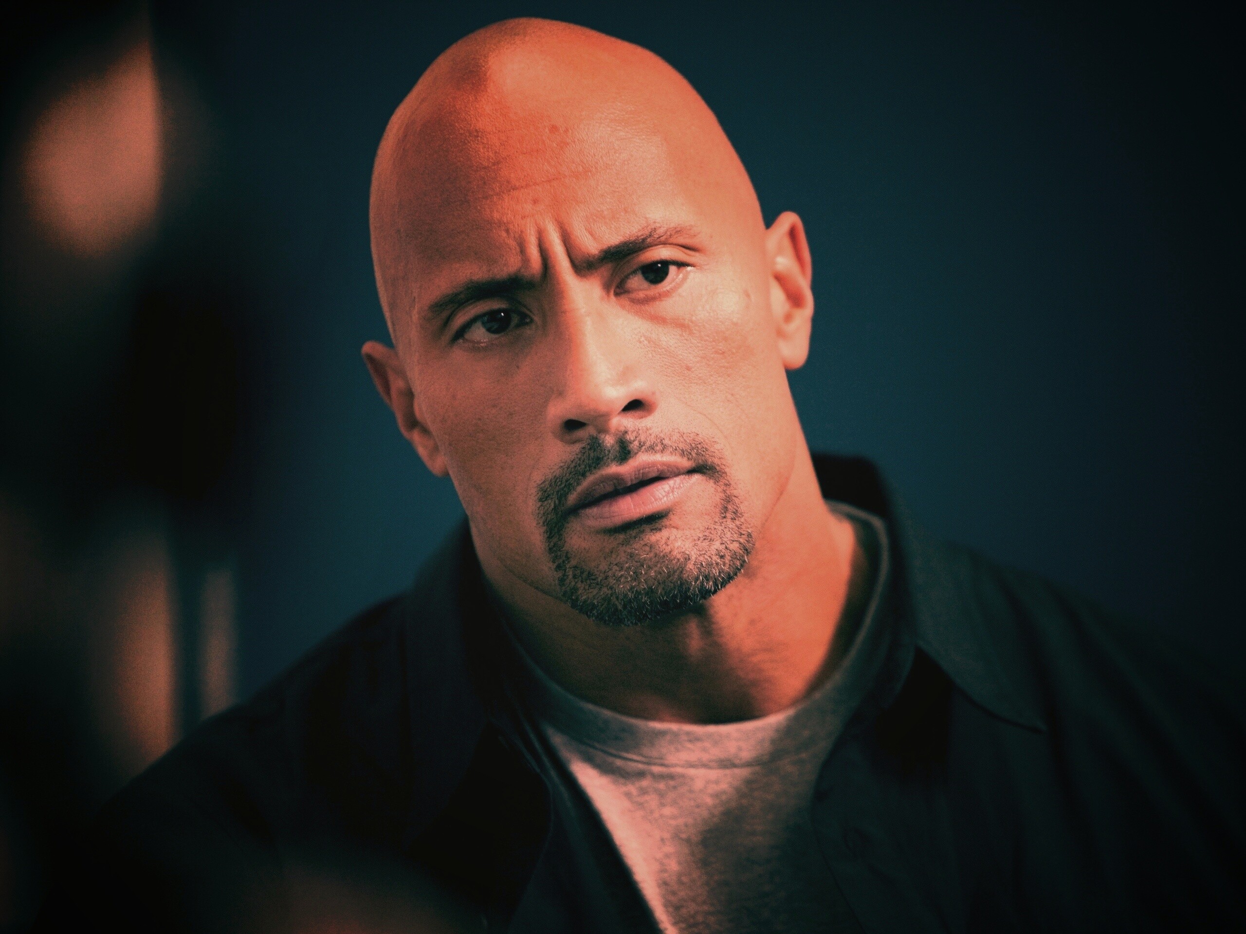 Dwayne johnson, Actor, Bald, Hair, Celebrity обои