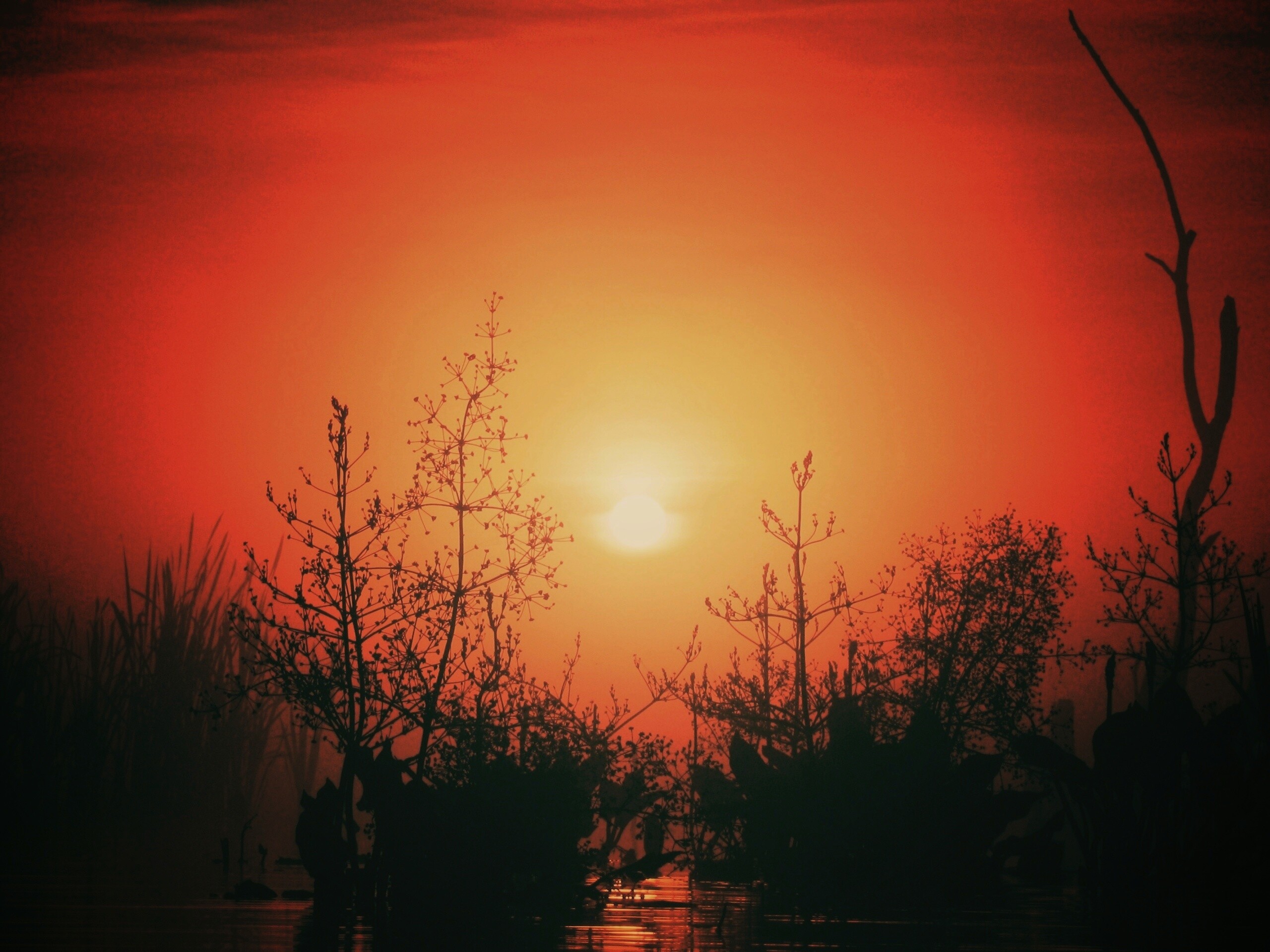 Доисторическое утро обои