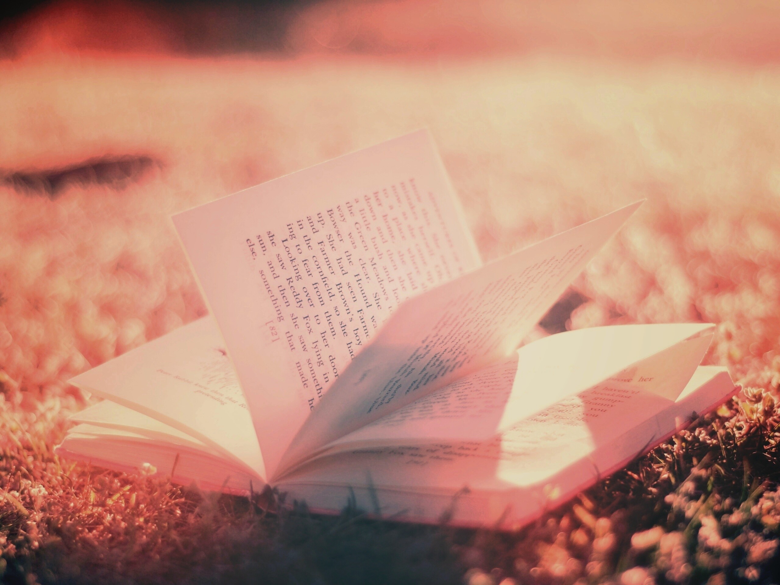 Книга в нежном свете обои