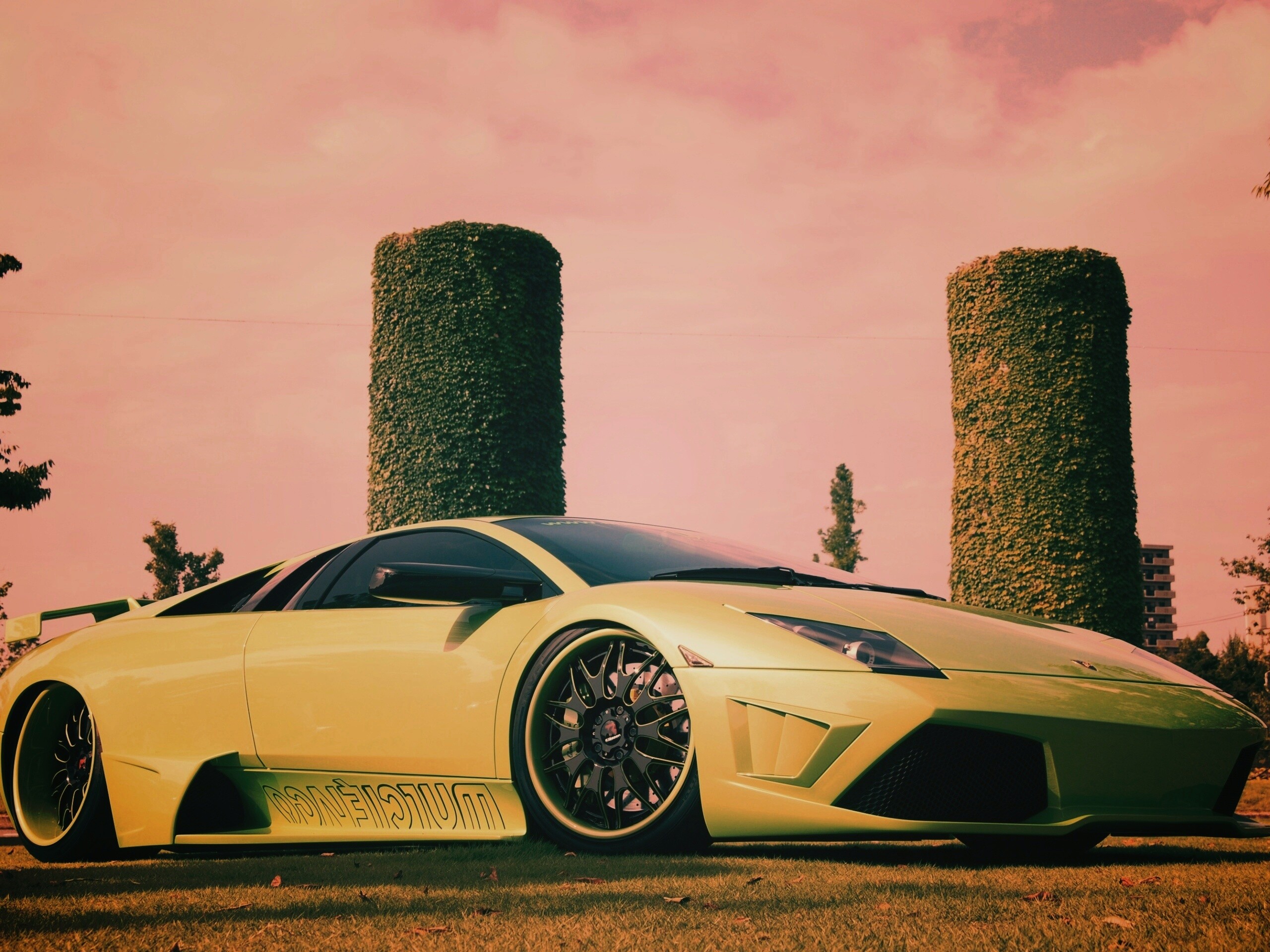 Зелёный Ламборджини на траве обои