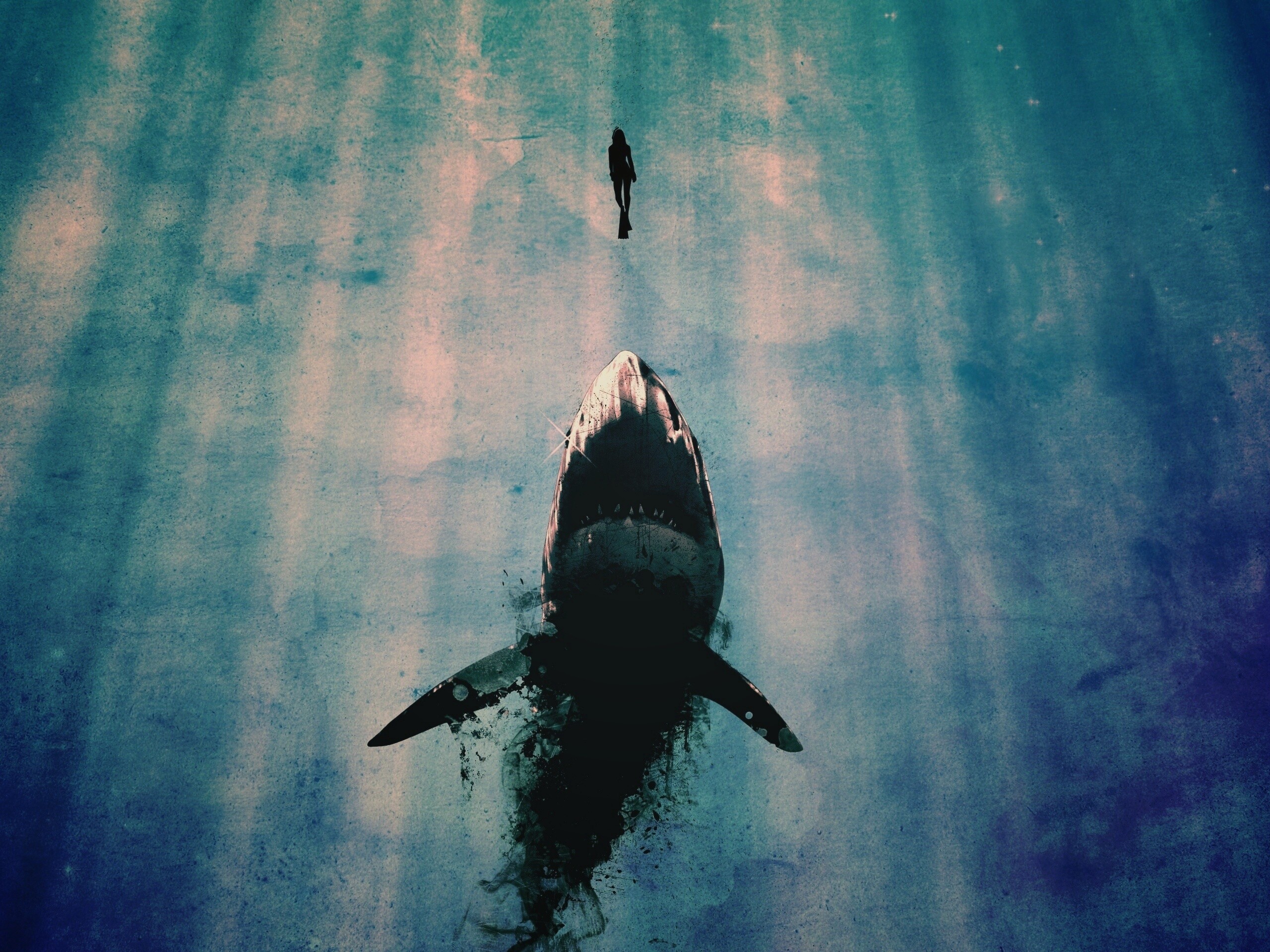 Акула гонится за человеком обои