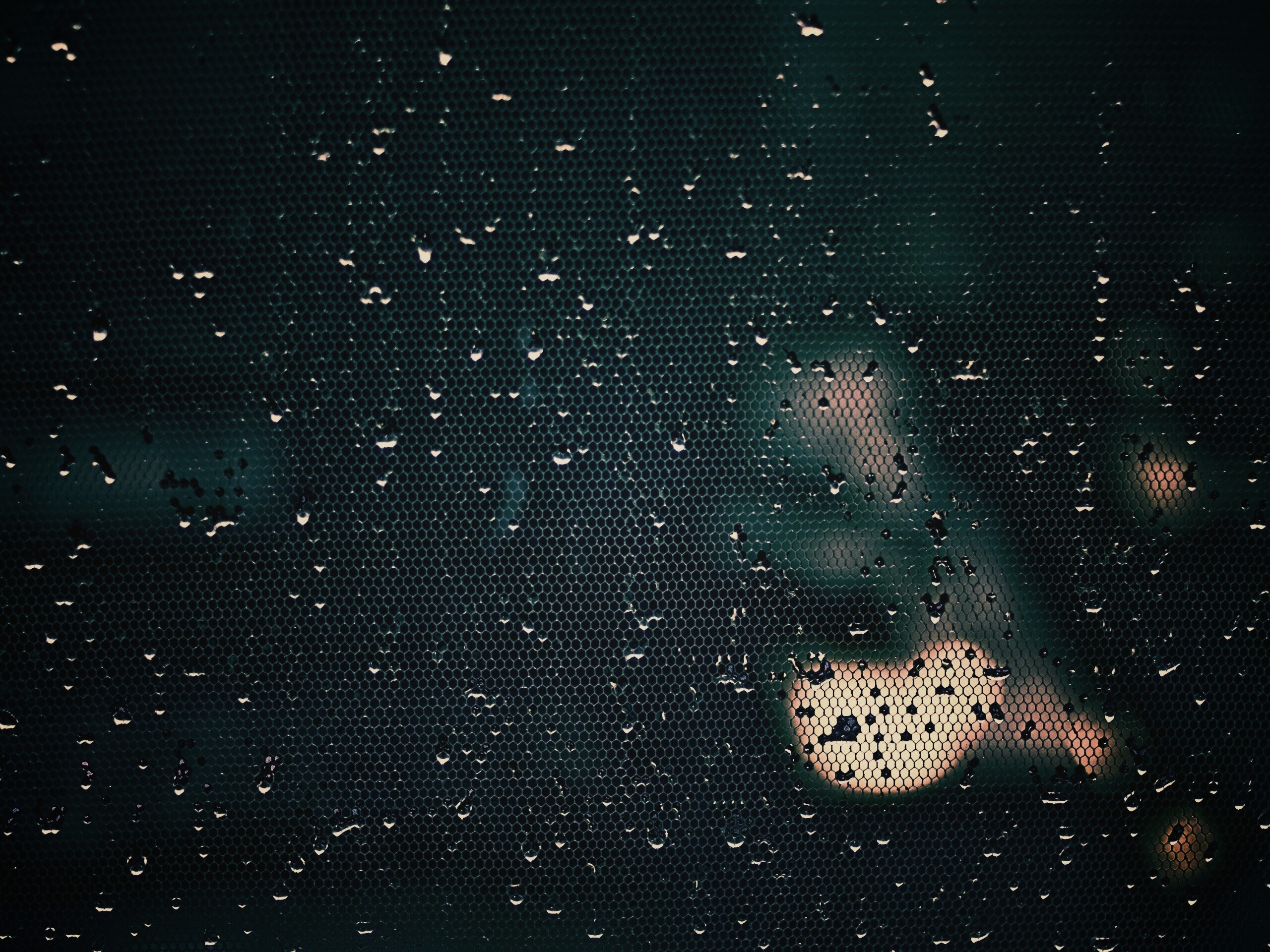 Капли нас етке обои