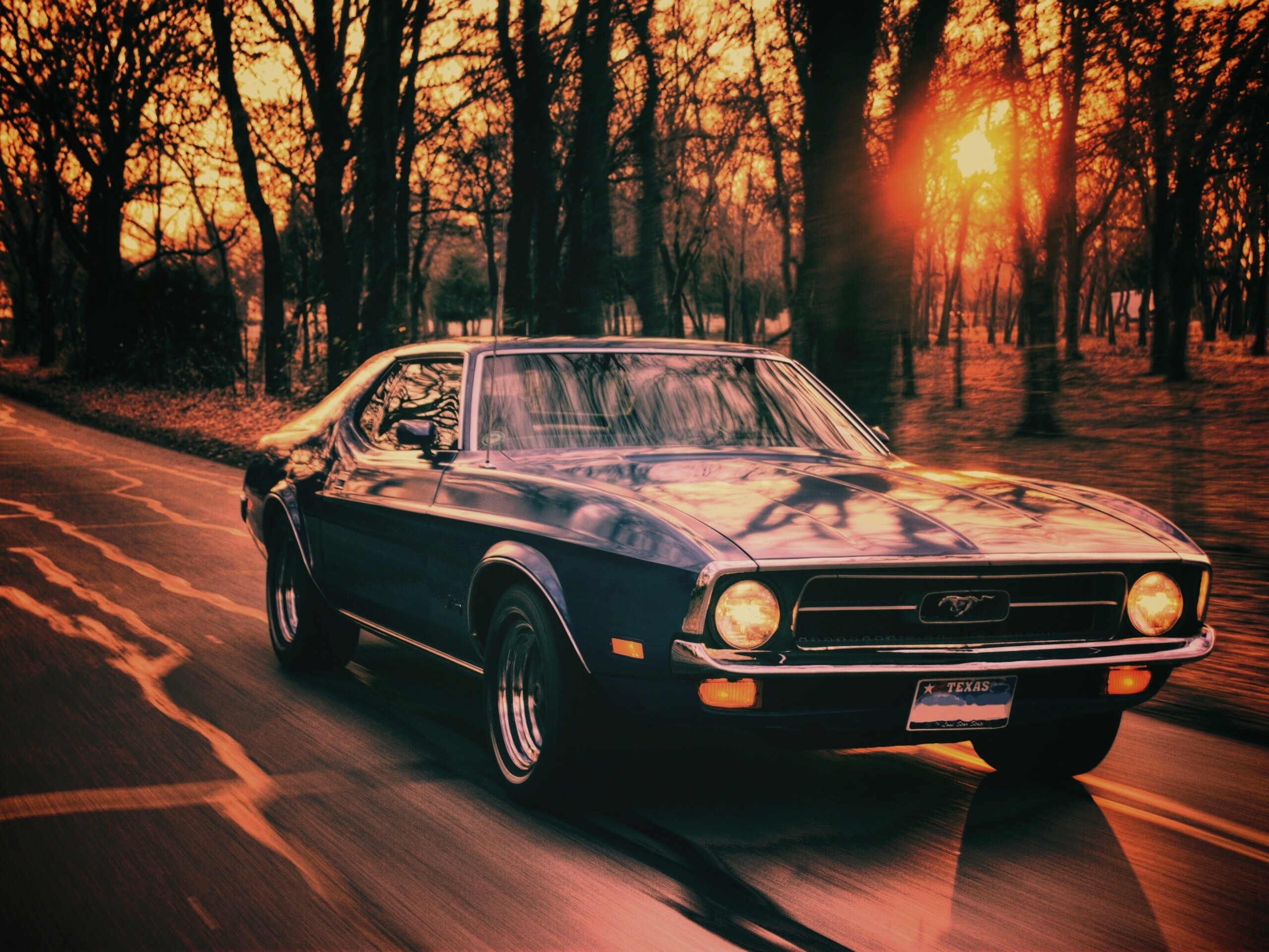 Мустанг обои