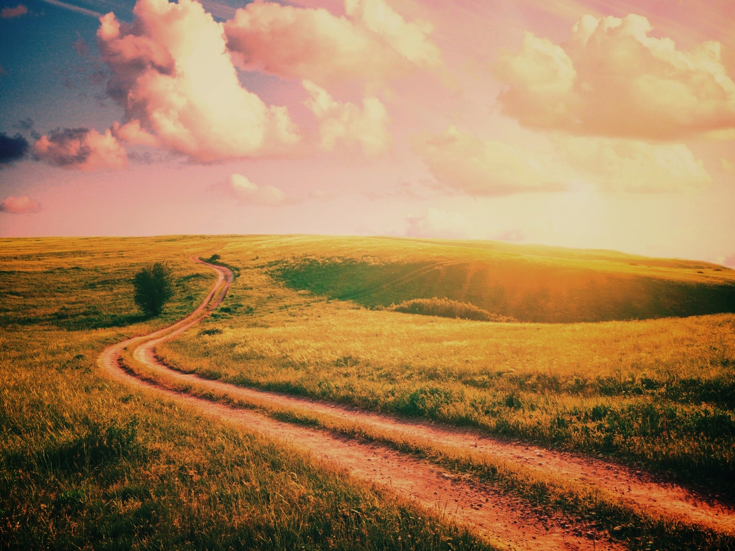 Дорога через луг обои