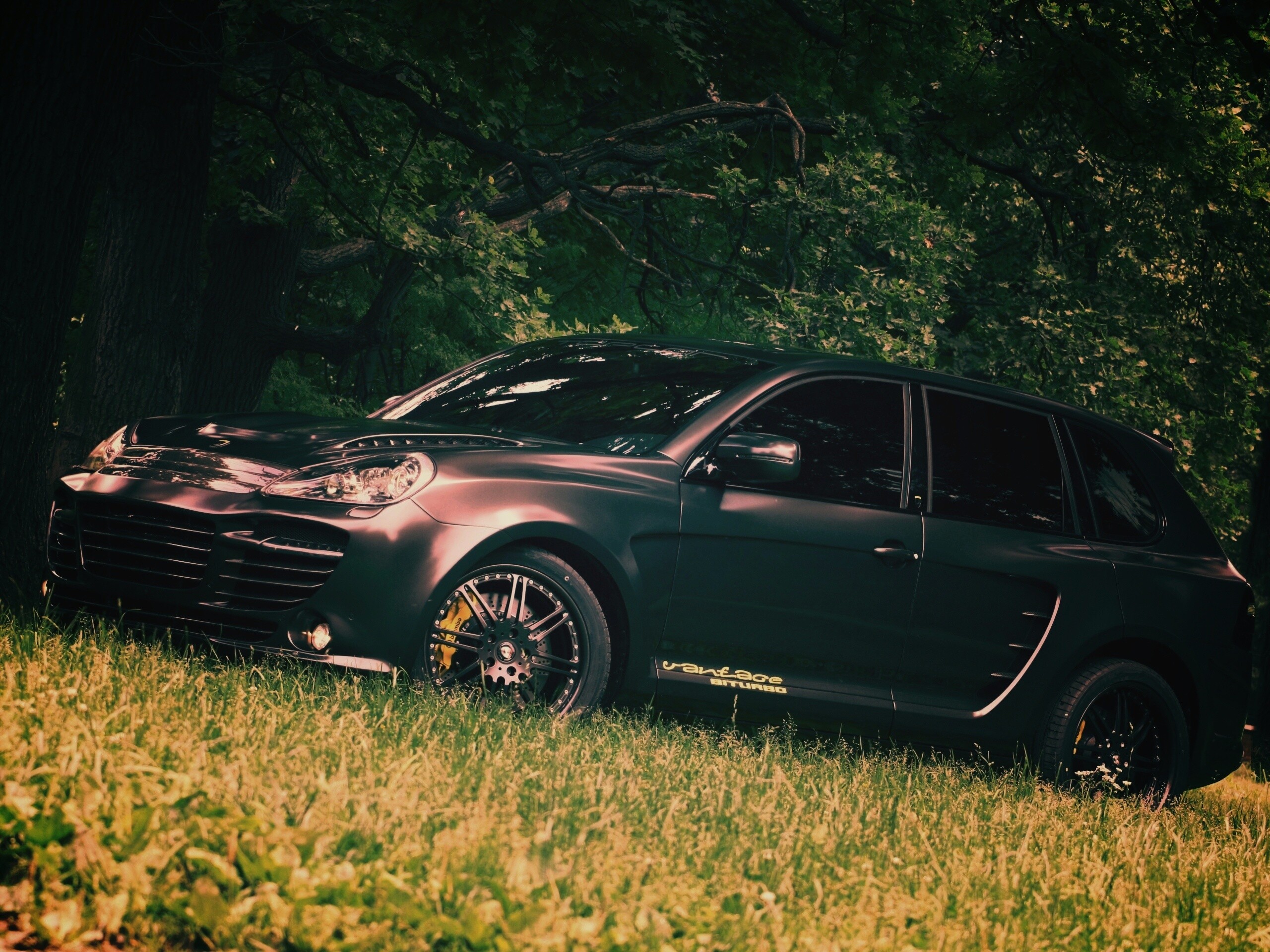 Концепт внедорожника в лесу обои