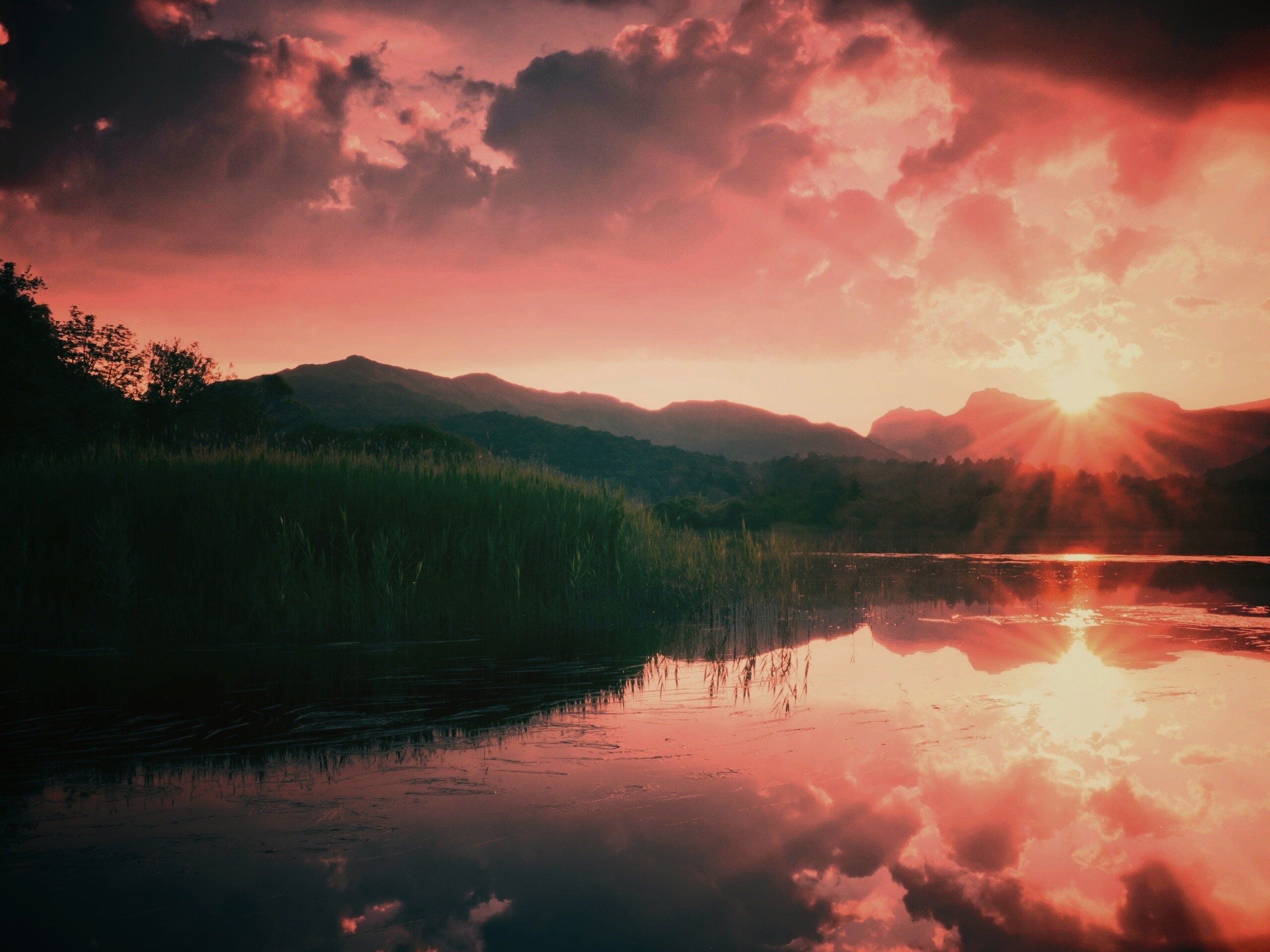 Закат за лесом обои