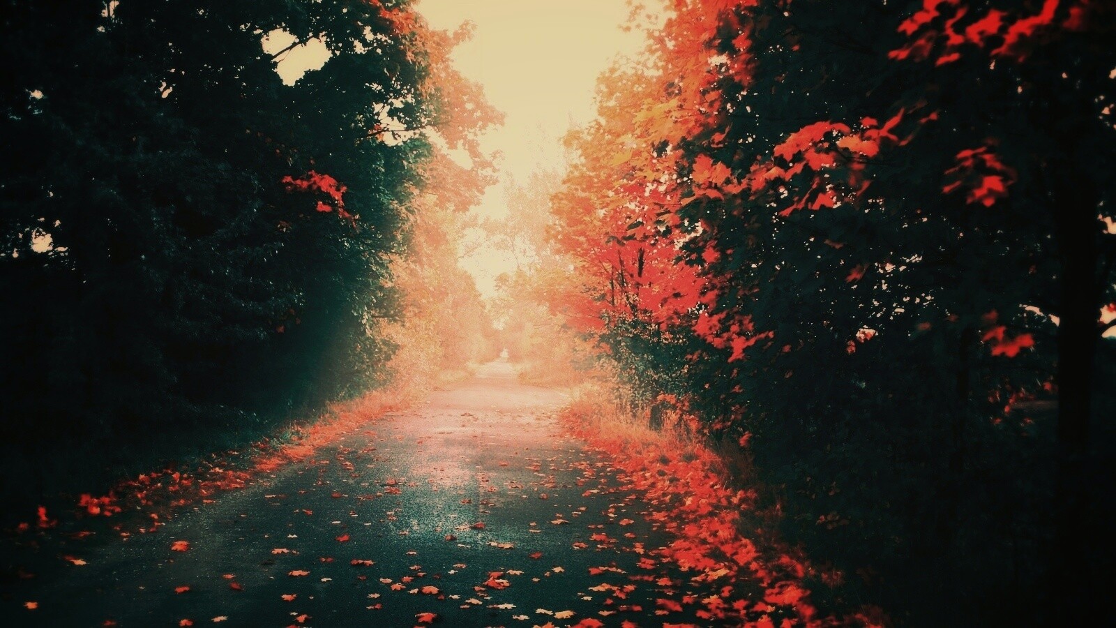 Желтая дорога обои