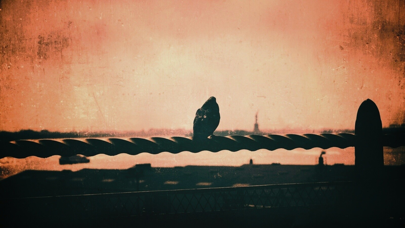 Голубь в Нью-Йоркских доках обои