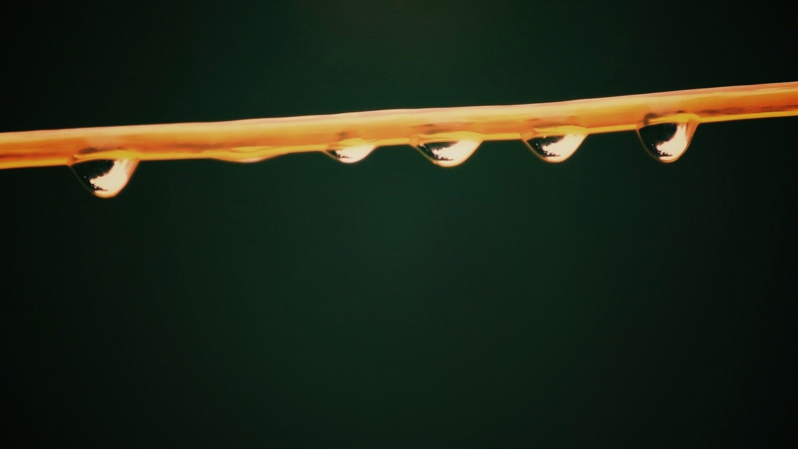 Капли на соломинке обои