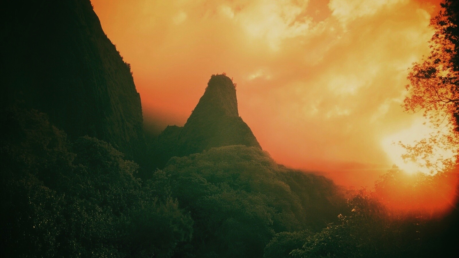 Заросшие джунглями горы обои